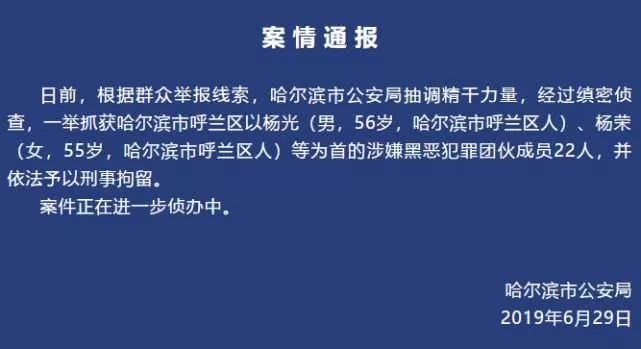 四大家族犯罪集团案件已经陆续进入诉讼环节