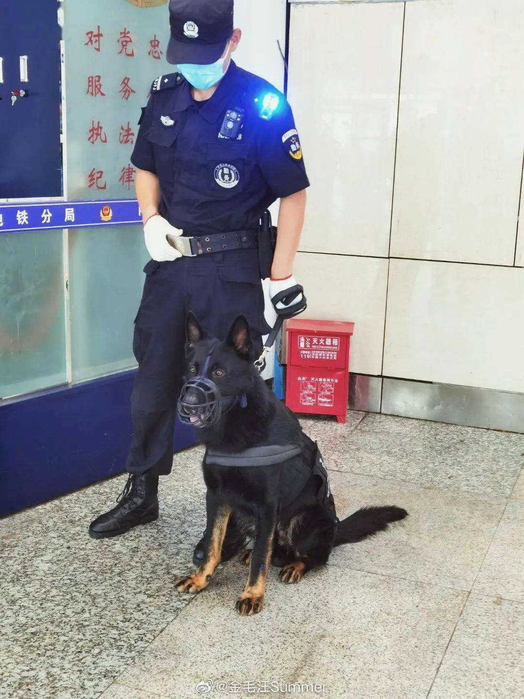 四只警犬被通报：上班摸鱼到处尿尿