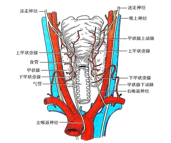 游戏专题 第103页