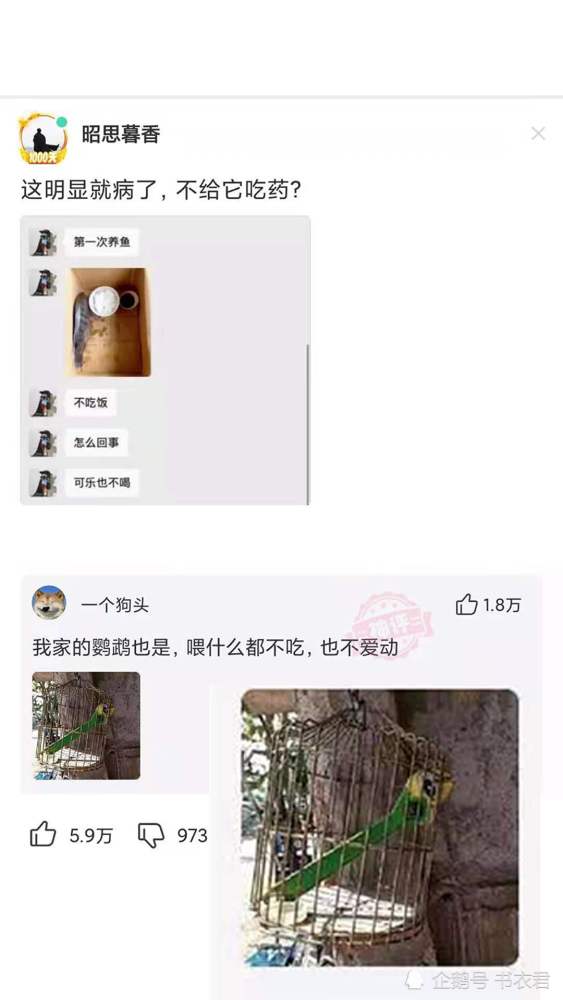 震惊！台球厅老板竟在女厕装摄像头，被抓后狡辩让人无语！