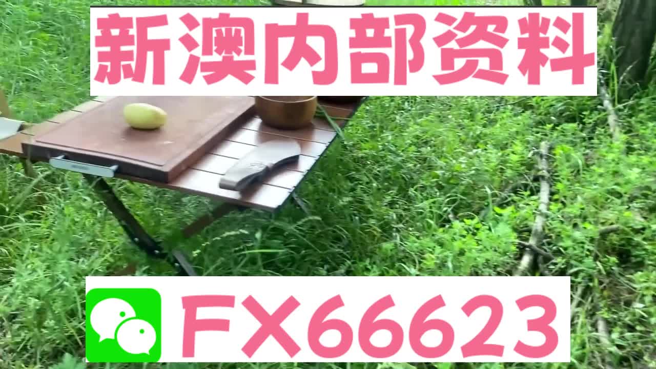 揭秘！新澳天天开奖资料大全旅游攻略，Z53.125助你轻松分析行业数据，掌握财富密码！