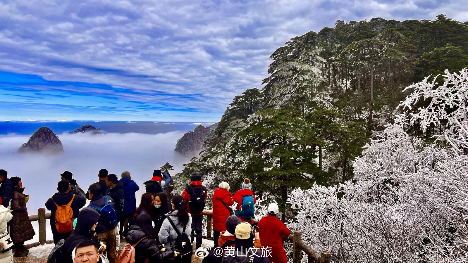 黄山放大招！女性7天免票，背后原因竟是……网友，这次真的赚大了！