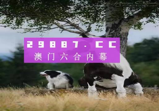 澳门 第37页