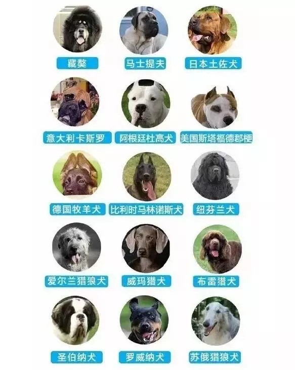 代表：建议统一公布全国禁养犬名录