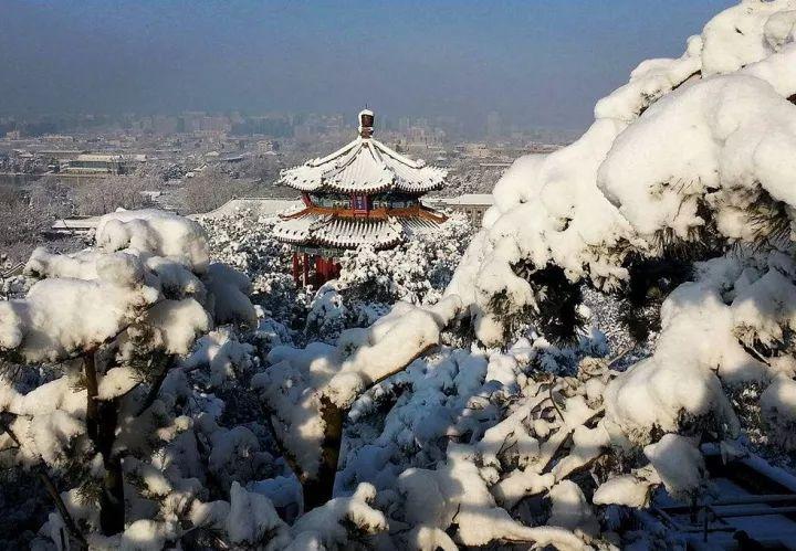 惊！北京突降大雪，市民直呼活久见，背后真相令人震惊！