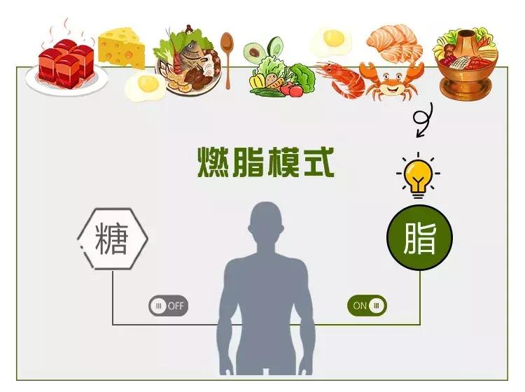 不吃主食就能瘦分人